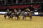 Quadrille - 00849